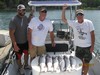 (07/16/2017) - Nice Striped Bass